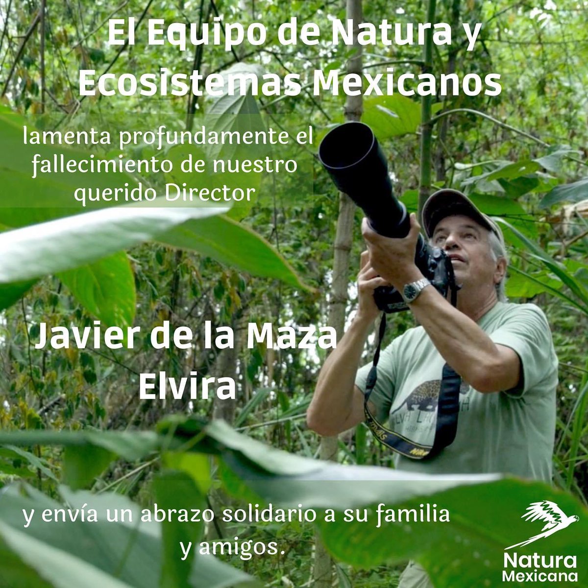 jmazpiroz's tweet photo. Qué triste noticia. Javier de la Maza fue un hombre excepcional.

“Estás en las Áreas Naturales Protegidas.
Estás en el revolotear de las mariposas.
Estás en el volar de las guacamayas.
Estás en el rugir de los jaguares.
Estás en el verde de la Selva Lacandona.
Estás en tu hogar, la Estación Chajul,
y estás en nuestros corazones.”

Q.D.E.P 🙏🏻 @NaturaMexicana 🇲🇽 🌎