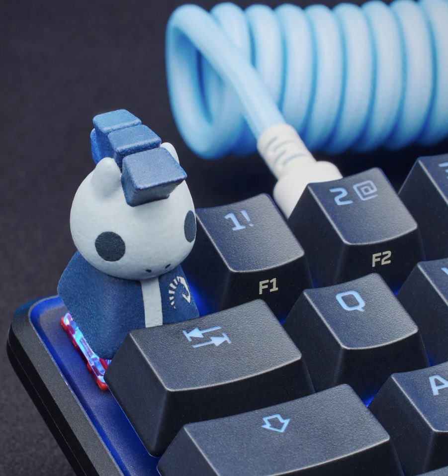 KazualAF's tweet photo. The @TeamLiquid x @HyperX keycap is out NOW!!! 🤯

🛒: https://t.co/5JN0EaqN7Q (available until 08/20/2023)

#LetsGoLiquid #HyperXPartner https://t.co/6asfF86Stm