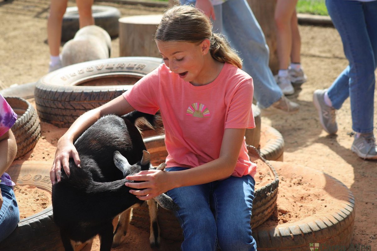 Camp Allen tweet media