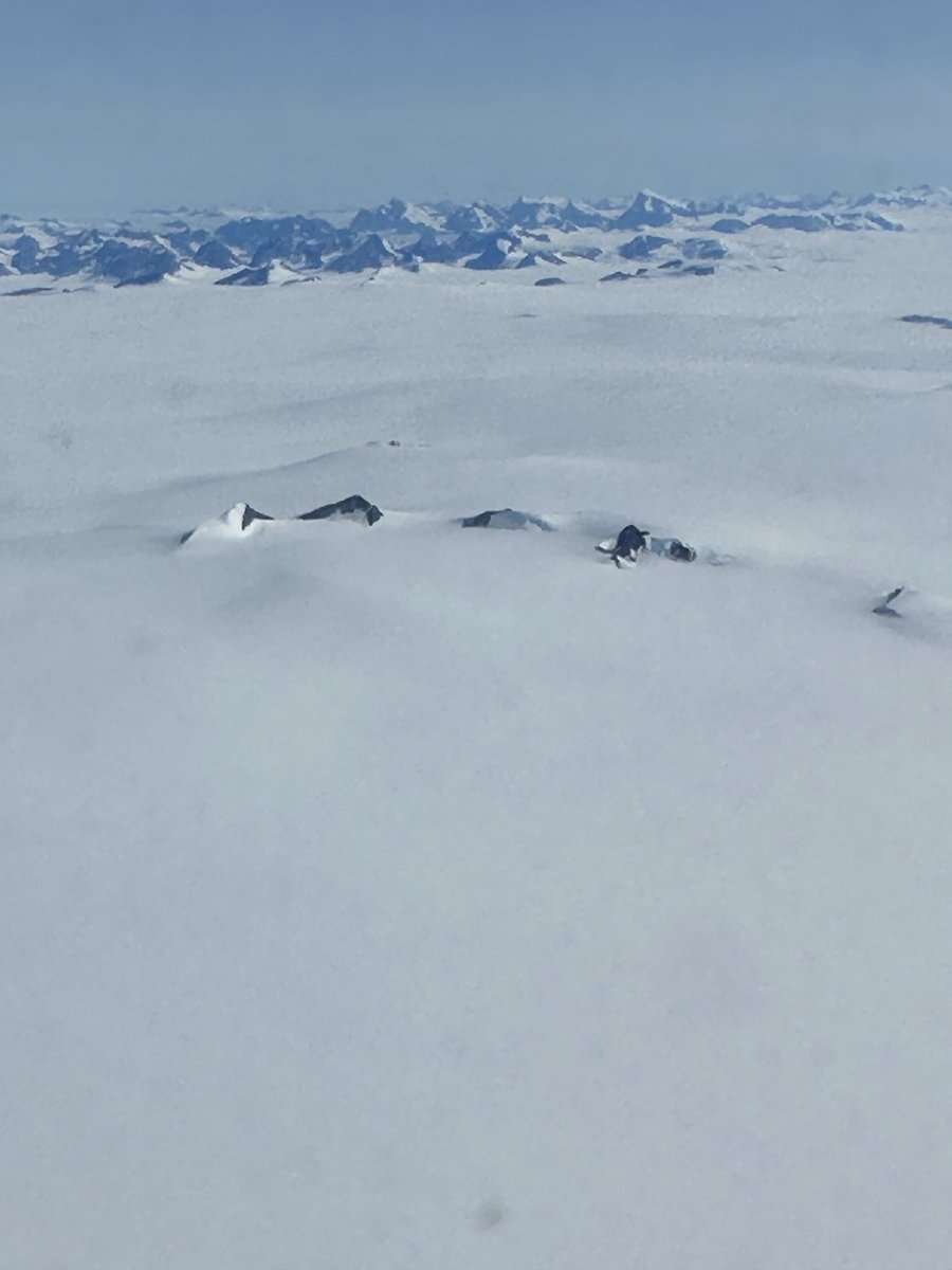 RT @LKrauss1: Guess where?  Yup. Greenland. https://t.co/GmmeP6vhan