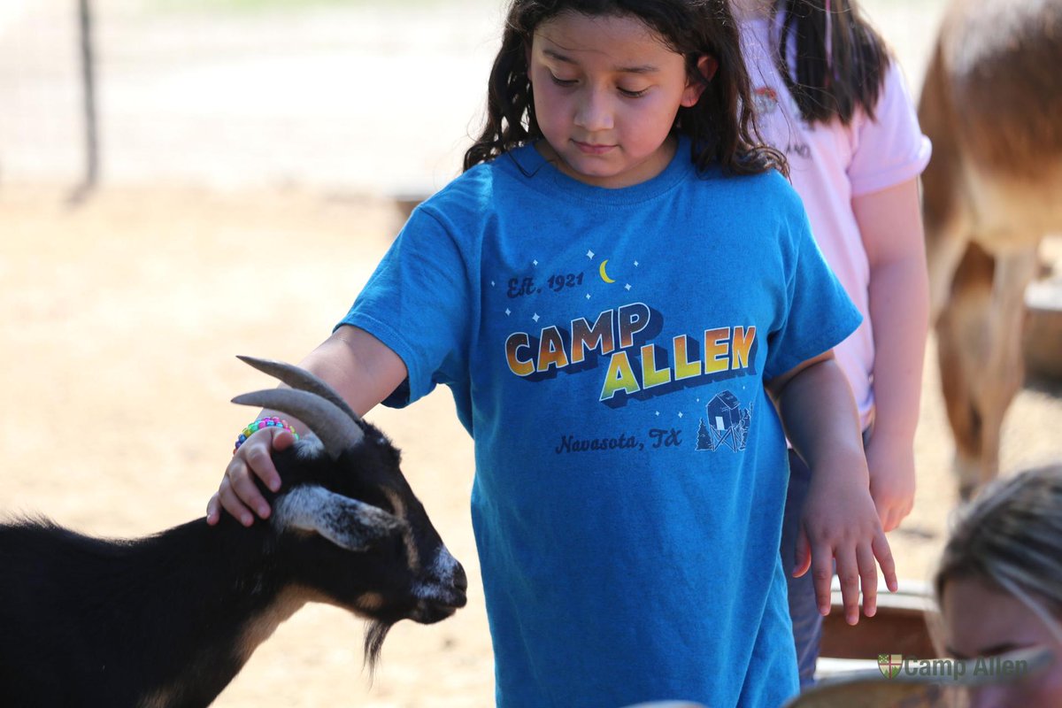 Camp Allen tweet media