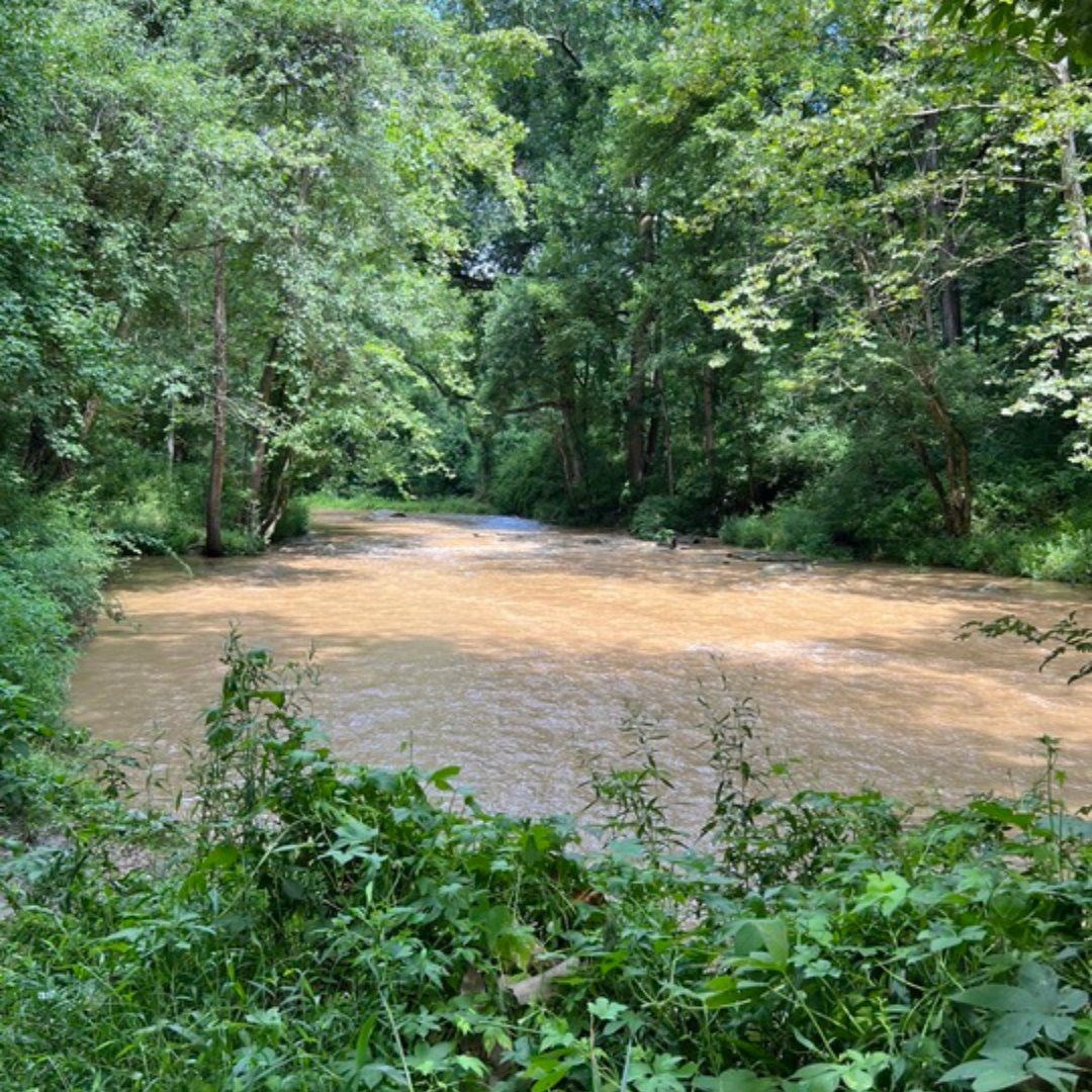 After recent summer storms in the region, the Patapsco River may have high water levels and a cloudy appearance due to stormwater runoff. Contact with the river should be avoided today.

Learn more about River Safety and (In)equity: ow.ly/RfS650PiyV4

#patapsco