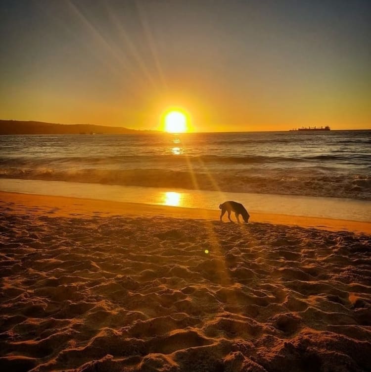 Nina AI Art Etc 💋📸 ✍️🖼 tweet media