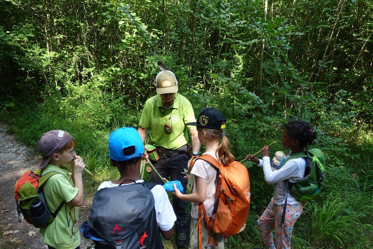 EvaGlattau's tweet photo. 4 Gemeinden - 4 x "Superhelden im Wald".
Den Kindern und mir hat's Spaß gemacht. 🌲🌳💚
#Tourismusgemeinde #Eferding #Wels #Naturpark #Obsthügelland #Scharten #StMarienkirchen #Naturschauspiel #raus #Baumliebe #Waldpädagogik #Ferienprogramm
https://t.co/S8lTiBlQFu 🌲🌳💚 https://t.co/l1HwPf3nJn