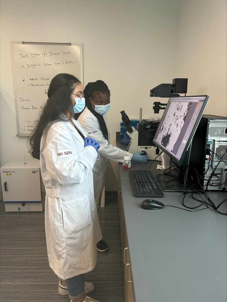 WicomicoHS's tweet image. From July 17-21, eight Wicomico High School students attended the Maryland Action for Drug Discovery and Pharmaceutical Research at UMES. The students gained skills in microscopy, cell imaging, cell culturing, and so much more. What a learning experience! 

#doscience
#wihi
