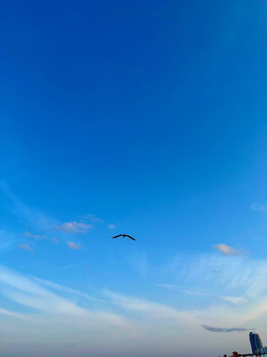 ayueceumill's tweet photo. Every time I go to the beach, I'm in a good mood. https://t.co/UaMB3NPTz9