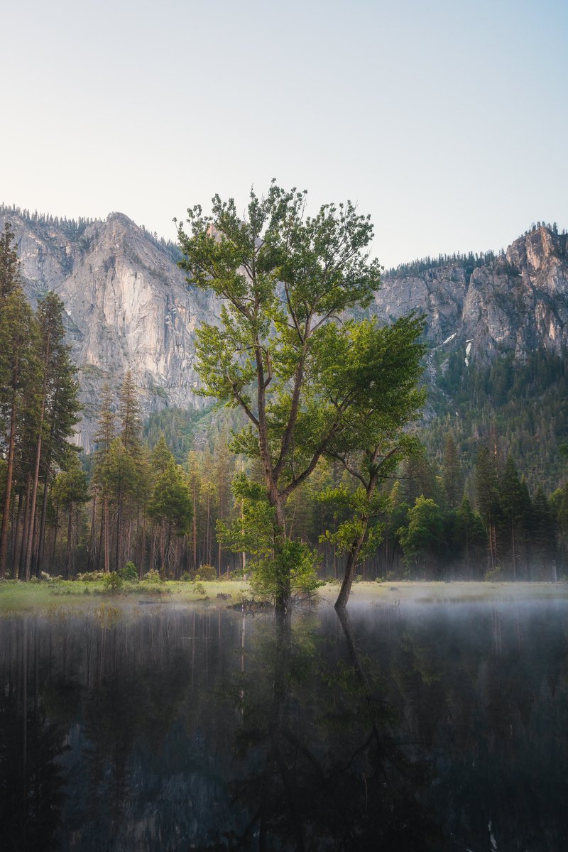 CodyConk's tweet photo. Flooded Yosemite https://t.co/S3NA2qedo5