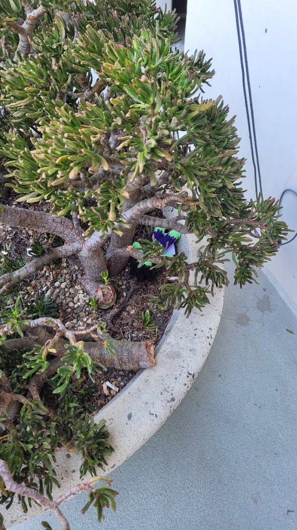 Gomigomigomiday's tweet photo. Day 2: This was the first superhero I ever saw on TV, and as an English learner I was puzzled and didn't understand it at all. #BillBixby
#crochetdrop #critterdrop #sdcc2023 and tag me please with where it's going when it is found! #dontmakemeangry https://t.co/6Zbp7r1Wdw