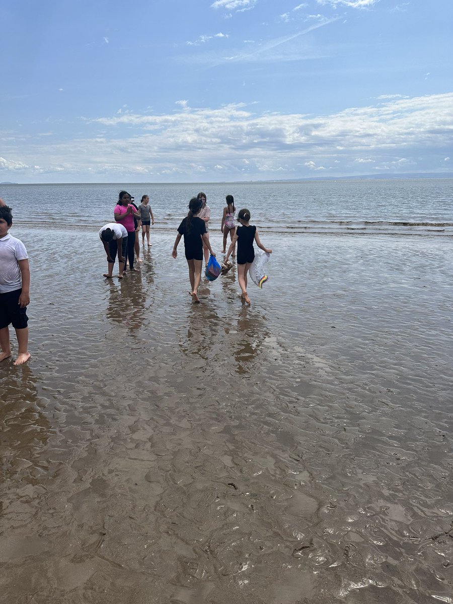 Springwood_Prm's tweet photo. What a lovely way to spend the penultimate day with year 4 and year 5 at the beach! 
Have a great summer everyone! 
#springfamily #barryisland #barrybados https://t.co/K465HFb8gc