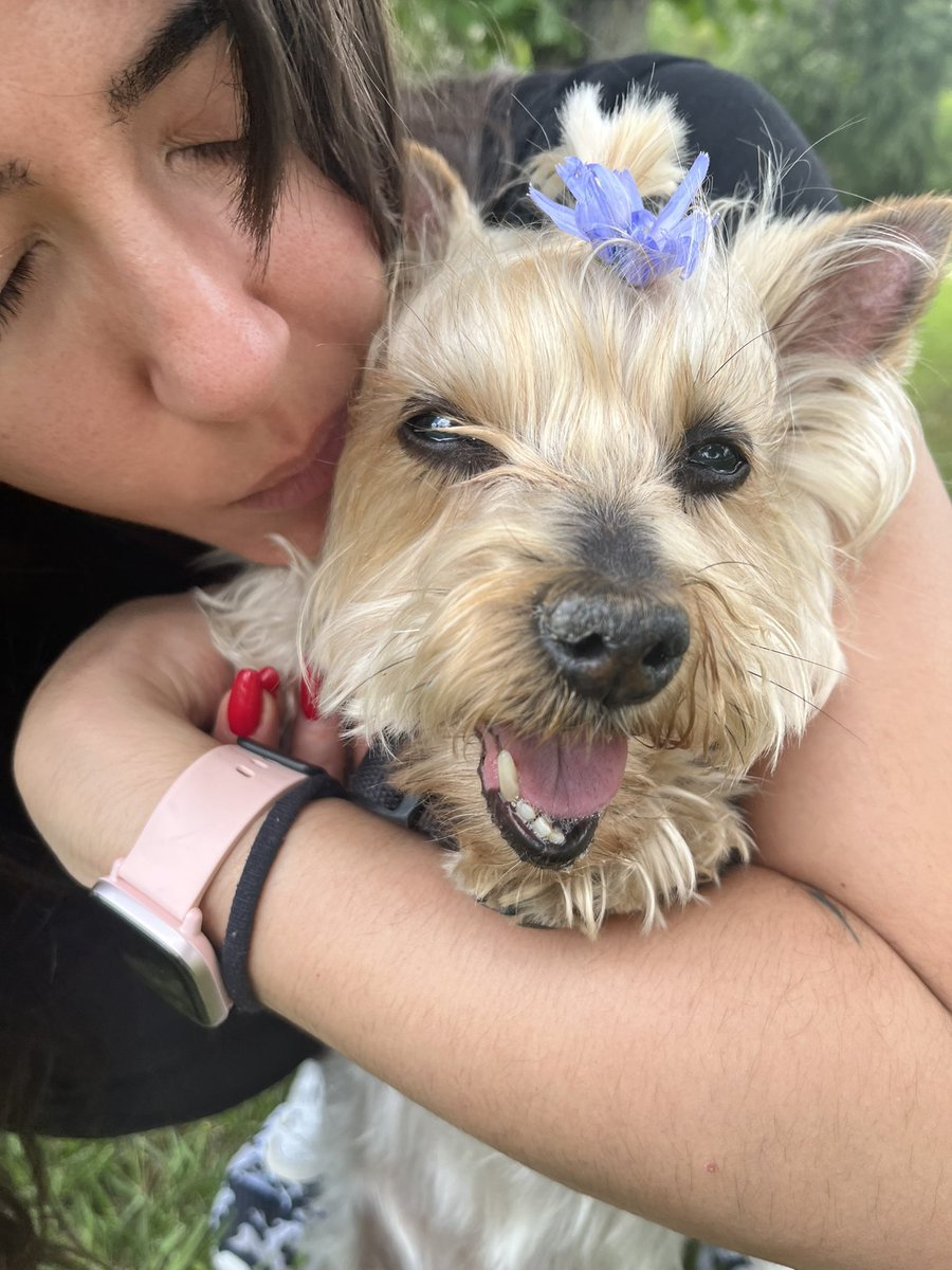 CynthialpezSL's tweet photo. Si te puedo querer mas exploto! Feliz día a mi nena 🤍 #DiaMundialDelPerro https://t.co/Dy8YP5sgUa