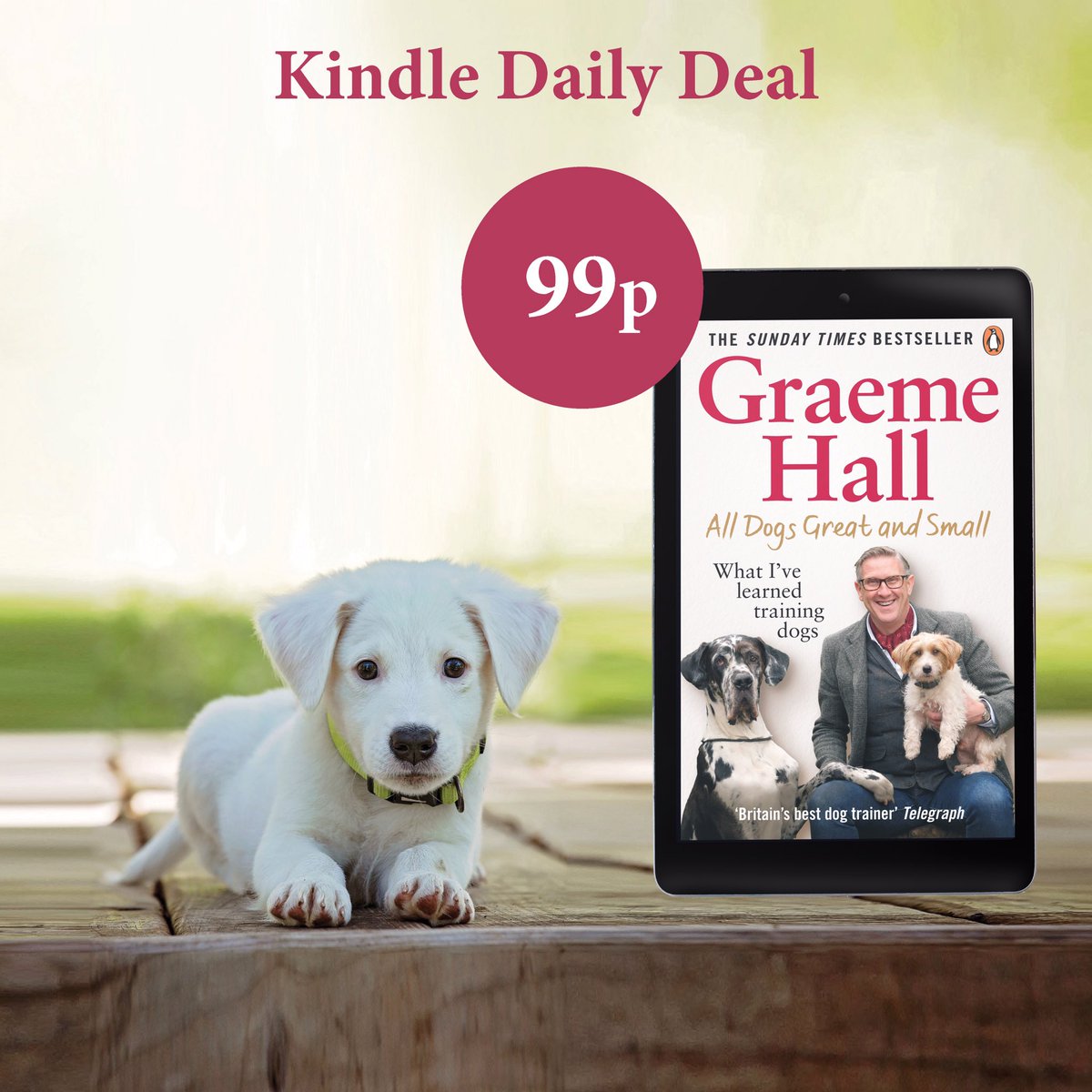 Have you downloaded your copy yet? All Dogs Great and Small is on the Amazon daily Kindle deal 👏

It’s your chance to download a copy for just 99p, now that’s a deal not to be missed eh ☺️

Get your copy now 👇

amazon.co.uk/All-Dogs-Great…

<a href="/EburyPublishing/">Ebury Publishing</a> <a href="/AmazonKindle/">Kindle</a> 

#ebook