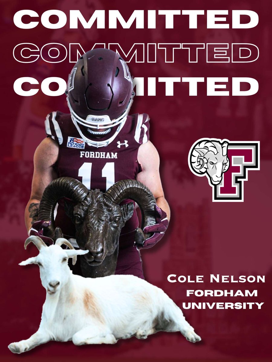 Cole Nelson tweet media