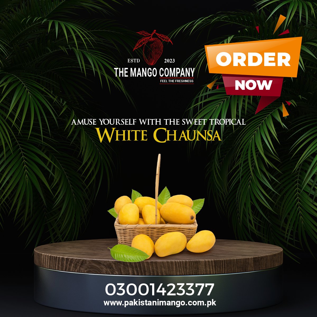 themangocompany's tweet photo. 🥭🌟The extraordinary Chaunsa mango, a crown jewel among mango varieties! 🌞👑 Grown in the lush orchards of Pakistan.
Don't miss the chance to savor the magic of Chaunsa this season!

https://t.co/JrG9ExL5aW
📞03001423377
#ChaunsaMango  #MangoLove #Pakistan  #pakistanimango https://t.co/5V8ppkWHGO