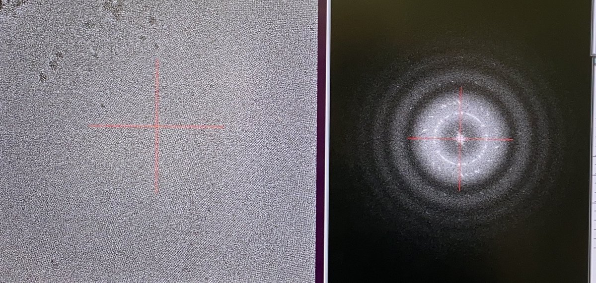 Israel Fernandez tweet media