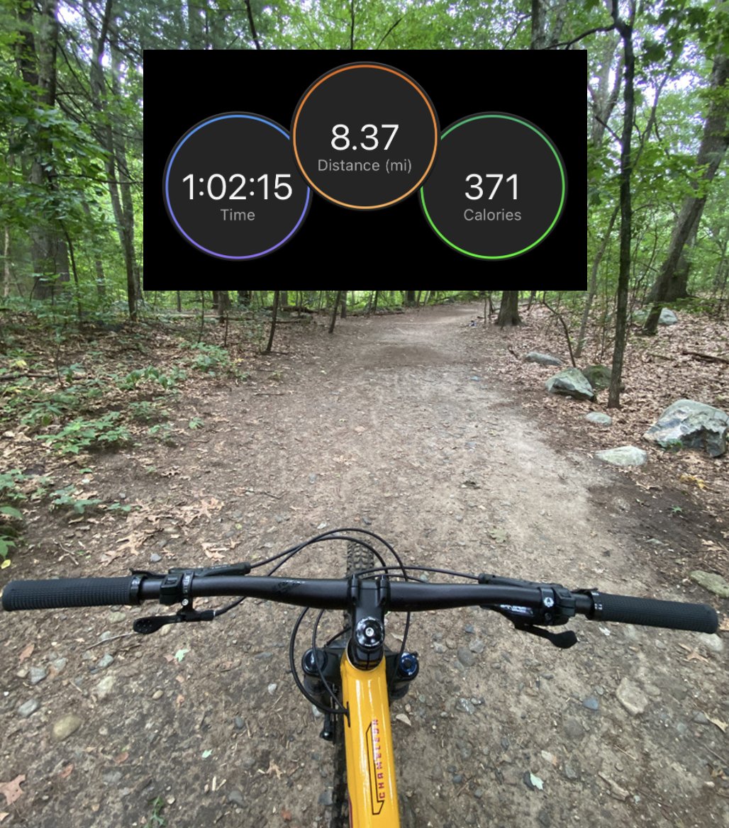 Jeremy Singh tweet media