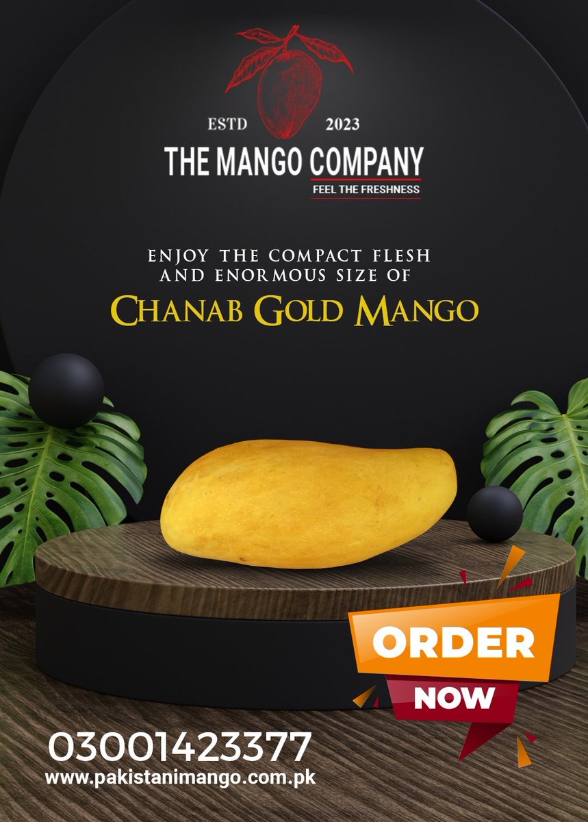 themangocompany's tweet photo. Introducing the Late Sindhri mango - a delightful late-season treat that makes the summer linger a little longer! 😋🌞🍂 

https://t.co/JrG9ExL5aW
📞03001423377

#Pakistan #paksitanimango #organic #sindhri #chanabgold
#muktanimango https://t.co/0wkyUpxFMi