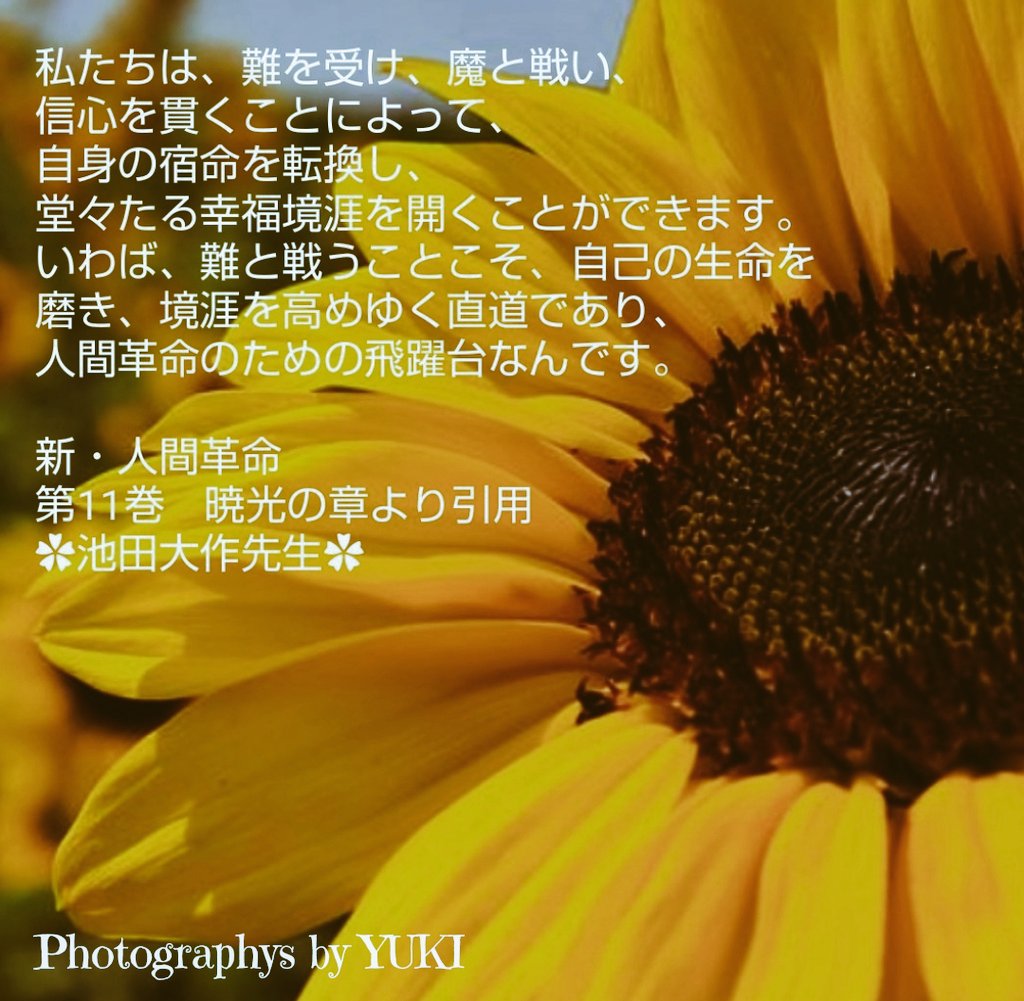 y_photo_flower's tweet photo. 私たちは、難を受け、魔と戦い、
信心を貫くことによって、自身の宿命を転換し、堂々たる幸福境涯を開くことができます。

いわば、難と戦うことこそ、自己の生命を磨き、境涯を高めゆく直道であり、人間革命のための飛躍台なんです。

新・人間革命　
第11巻    暁光の章より引用
池田大作先生 https://t.co/ZhRk9RMrSQ