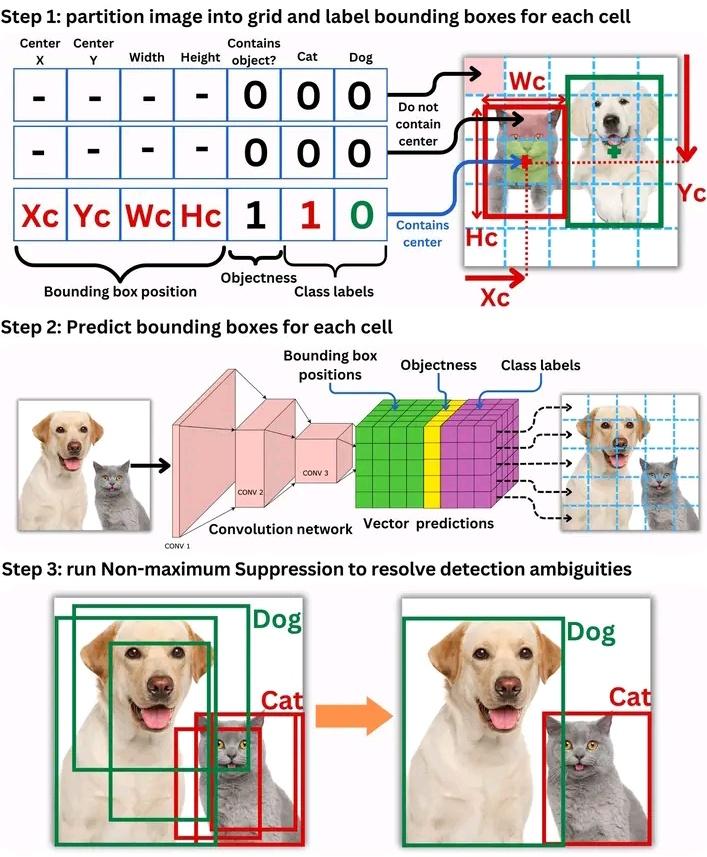 AIhero2023's tweet photo. Yolo object detection https://t.co/7Ne2FRTuGf