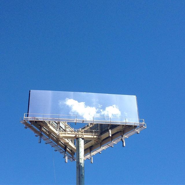 PALM REPORT ☼ tweet media