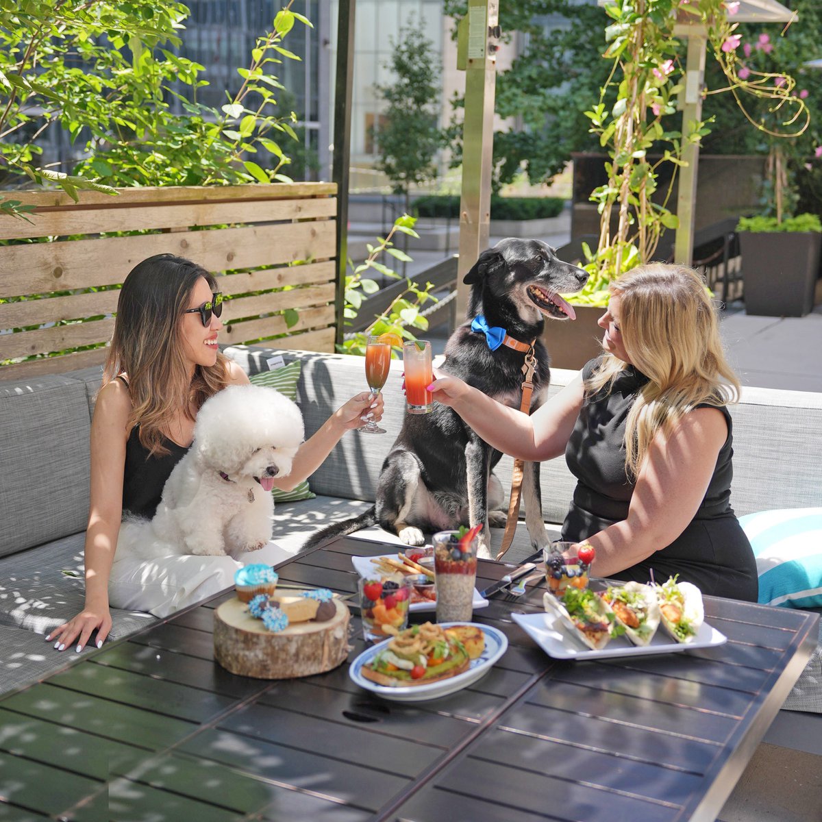 HiltonToronto's tweet image. Get ready to experience &quot;Paws for Brunch&quot; at @leveltwopool! Treat yourselves to a brunch menu, and giveaway mini &quot;pupcakes&quot; and carob bones for your furry friend to enjoy. 

Book a table through the link in our bio. 

#HiltonToronto
#HiltonHotels
#LevelTwo
#PawsforBrunch