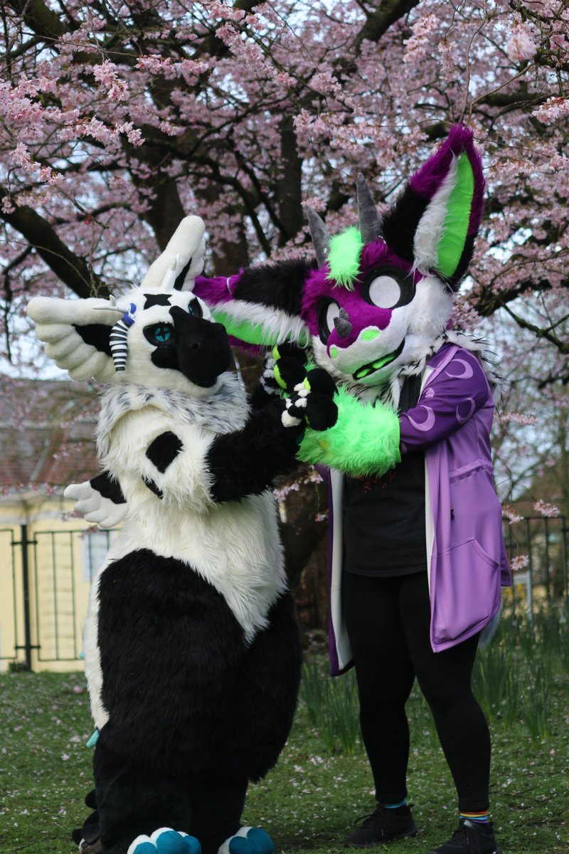 Yeaih, I have twitter now xD. Just took me many years to finally create a Account AND finally use it ~nya
#Furry #Fursuitmaker #FursuitFriday #Fursuit #Symbdragon #Symbwormt #Angeldragon #Sakuratree #Oldenburg #FriendSHIP