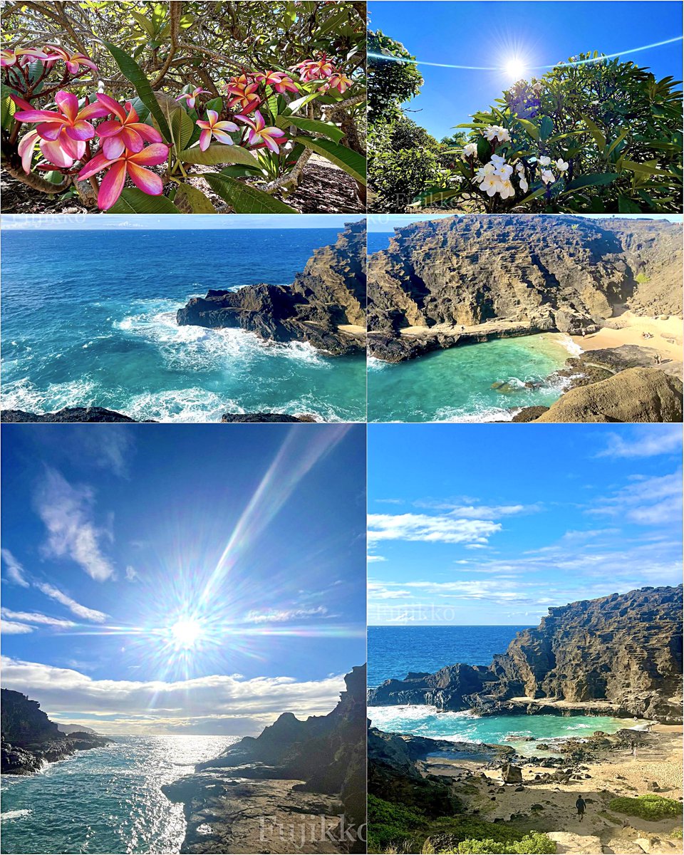 hawaiifujikko's tweet photo. 🏝️ Hawaii                             

　  心地良い  ﾊﾜｲの風が溢れてる🌿

        ⋆𓈒･:*࿐ 𝐻𝒶𝓅𝓅𝓎  𝒟𝒶𝓎 .:*:.｡.✽ https://t.co/Ll2iV3h7Tf