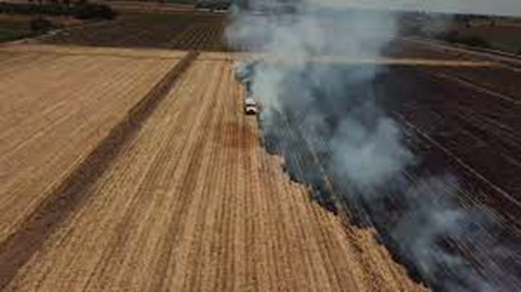 Rebe_sci's tweet photo. En México, es muy común que se lleve a cabo la quema de soca, una práctica que genera contaminación en aire, agua y suelos. Una forma eficiente de aprovechar estos residuos es mediante la producción de etanol y xilitol. 2/7 https://t.co/LozsW94S7p