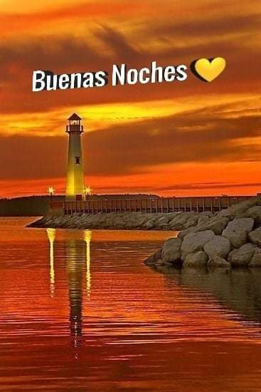 1951195r's tweet photo. Buenas noches ESPAÑA.
Buen descanso y linda noche.
A GANAR, AGANAR, A GANAR.
#VotaPP 
#Lasolucion
#VotaFeijoo 
Hasta mañana. https://t.co/QjoKuisMKI