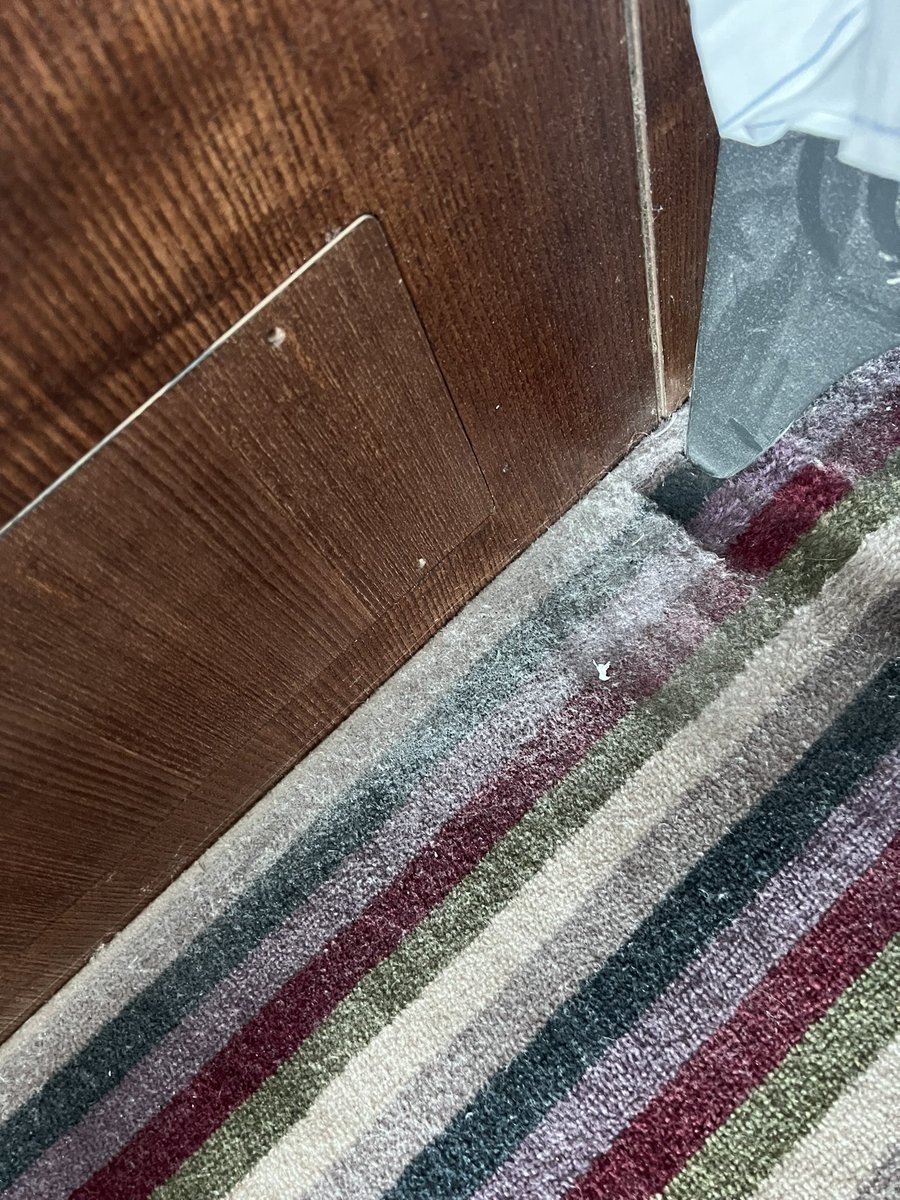 SPRC_1's tweet image. Our stay at Village Hotel Club Solihull Room #1 Urine stains, moved to Room #2…more urine stains, we then have two options due to being over booked!
#1 another family room wait for it that has less stains or #2 another dirty room with two small single beds!