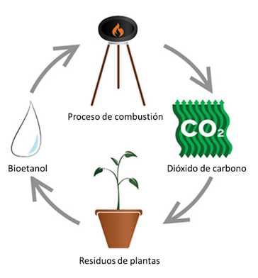 Rebe_sci's tweet photo. El bioetanol es un biocombustible que se utiliza como alternativa a los combustibles fósiles. Al producirlo a partir de residuos de maíz, reducimos la dependencia de los recursos no renovables y disminuimos las emisiones de gases de efecto invernadero. 3/7 https://t.co/pmzcocaiQD