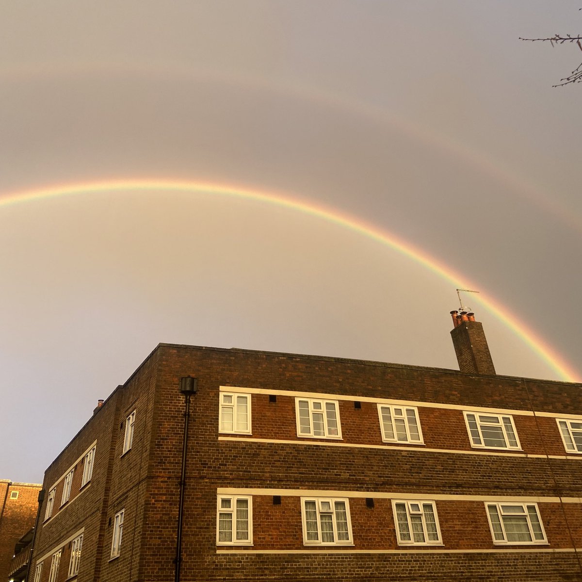 gratitude boy (@basedhilib) on Twitter photo 