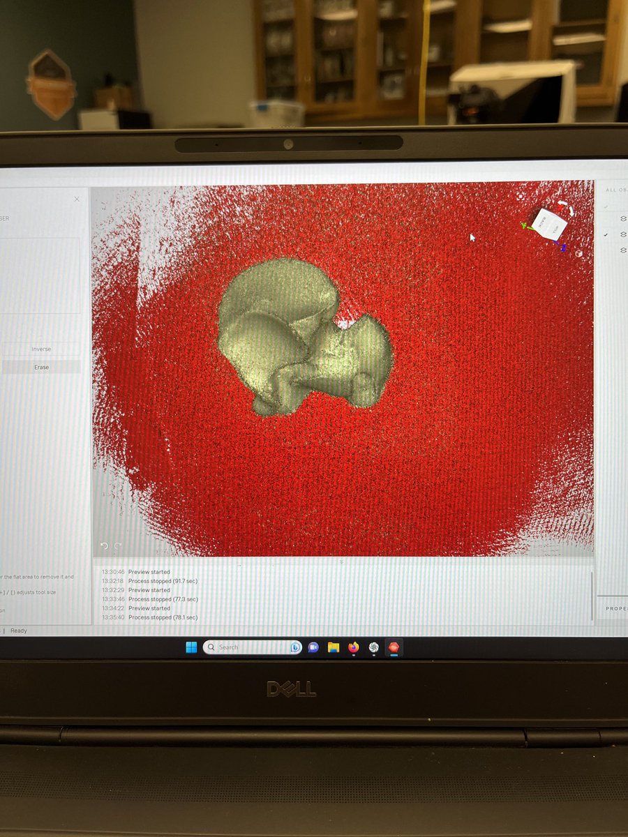 EmilyNisch's tweet image. Scanning bear paw bones for my ⁦@MSUMuseum⁩ collections internship. Thanks again to the ⁦@MSU_dhilab⁩ for the use of its structured light scanners. Stay tuned for the results of my project!