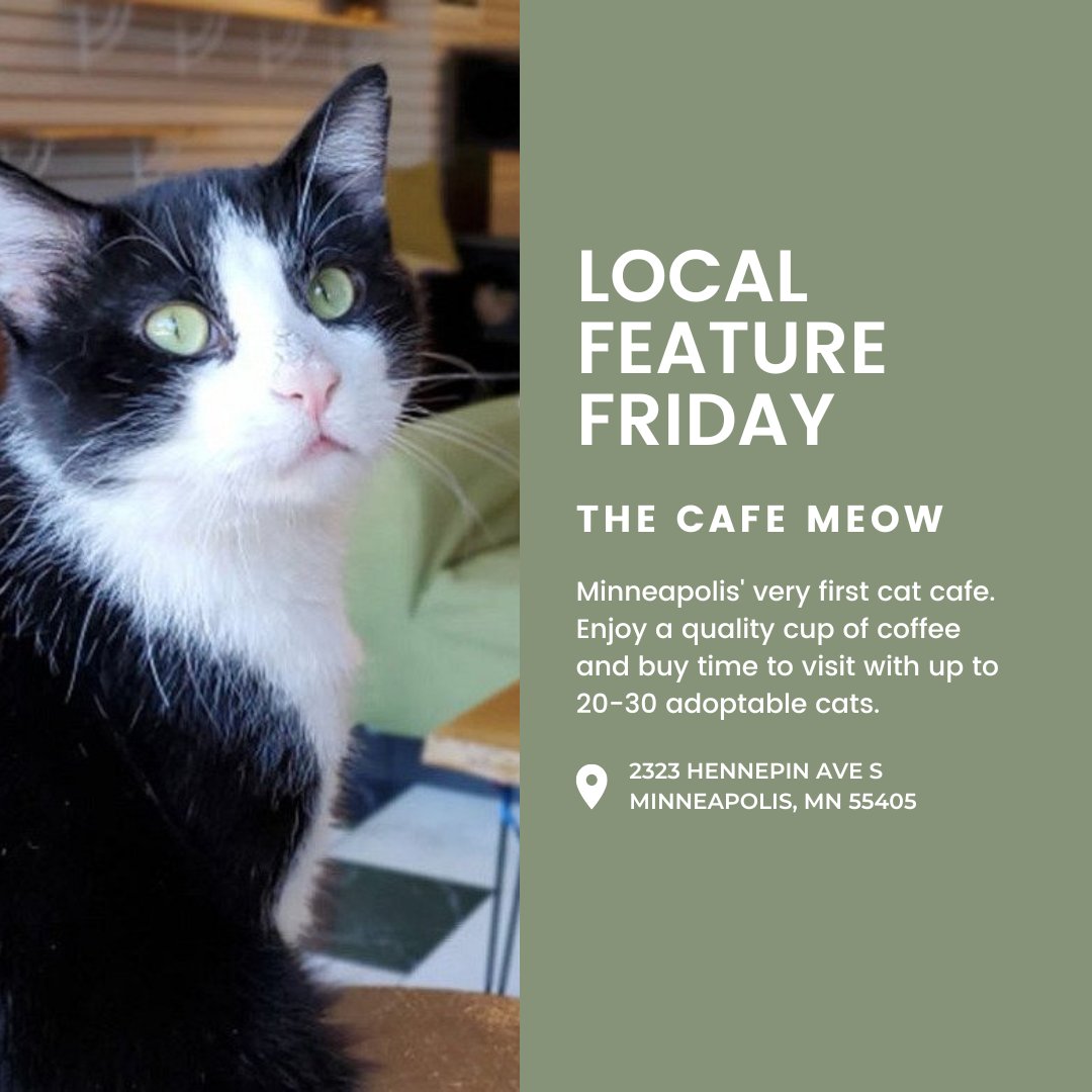 FluxApartments's tweet photo. ✨ Local Feature Friday ✨
Enjoy a cup of coffee AND adopt a cat at The Cafe Meow, Minneapolis' very first cat cafe! Go check out this awesome local business today! 
▪️ 
▪️ 
#fluxapartments #LocalLife #Minneapolis #CatCafe
https://t.co/7W6JA4T9lB https://t.co/bTwo5c1gXY