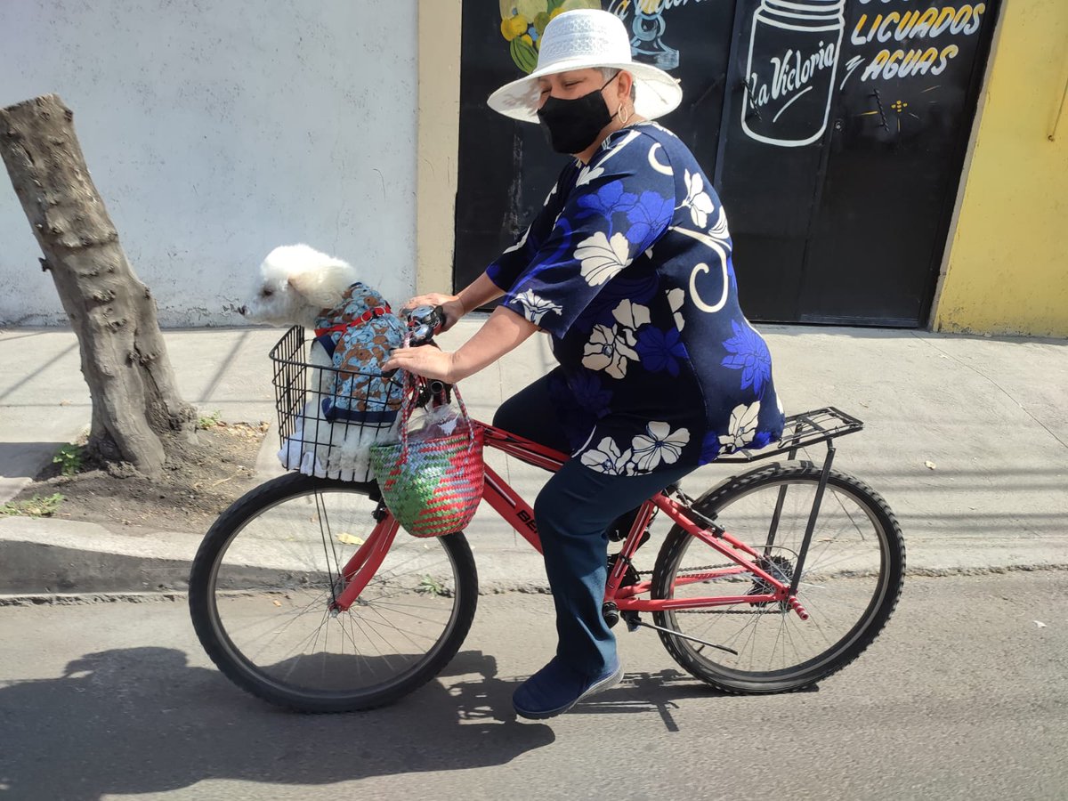 bitlamx's tweet photo. ¡¡Feliz día mundial del perro!! 🐶🐕🚲

homenajeamos a estos hermosos, leales y fieles compañeros que llenan de amor nuestras vidas.

#BitlaMX #CiclistadeBarrio #BiciTláhuac #Bitla #Tláhuac https://t.co/byYv4FNZol