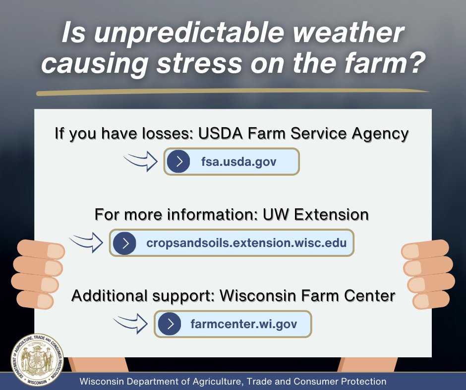 The USDA has designated 27 Wisconsin counties as natural disaster areas due to drought. This designation allows the USDA Farm Service Agency (FSA) to extend emergency credit to producers recovering from natural disasters. For more information, visit datcp.wi.gov/Pages/DroughtR….