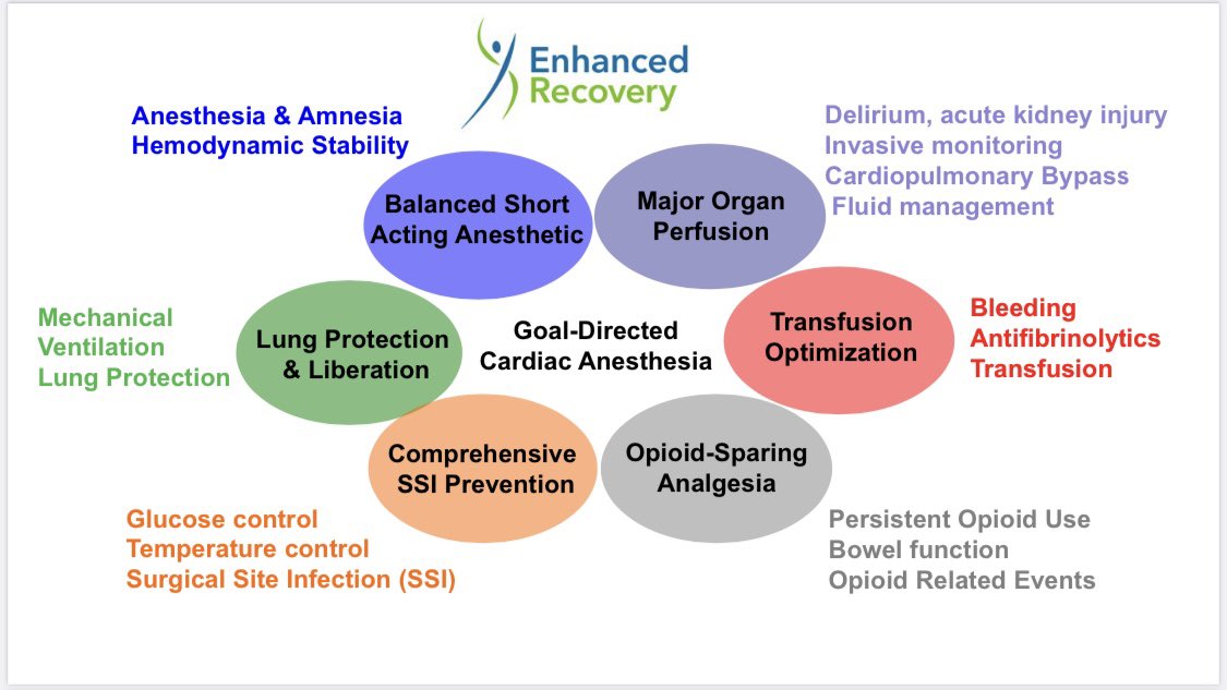 SedatedSk8er's tweet photo. Enhanced Recovery After Surgery (ERAS) is so popular even @taylorswift13 is touring on it!! #ErasTour #anesthesia  @CSAHQ #CSASummerConf23 https://t.co/zoEWKw1UXn