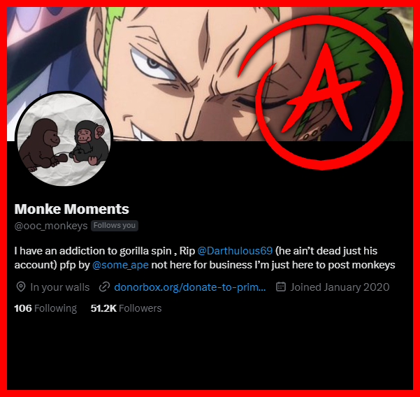 monkeys are easily one of the top animals