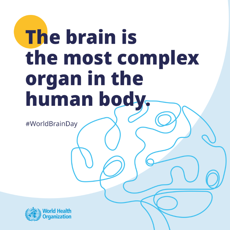 WHO's tweet photo. Today is #WorldBrainDay.

Brains are the most complex organ in the human body. They support our ability to:

✅ Communicate
✅ Move
✅ Feel emotions
✅ Interact with the world
✅ Solve problems
✅ Remember the past

More info 👉https://t.co/DRGeYwPY6W