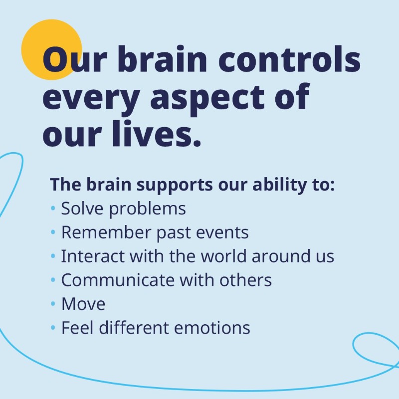 WHO's tweet photo. Today is #WorldBrainDay.

Brains are the most complex organ in the human body. They support our ability to:

✅ Communicate
✅ Move
✅ Feel emotions
✅ Interact with the world
✅ Solve problems
✅ Remember the past

More info 👉https://t.co/DRGeYwPY6W