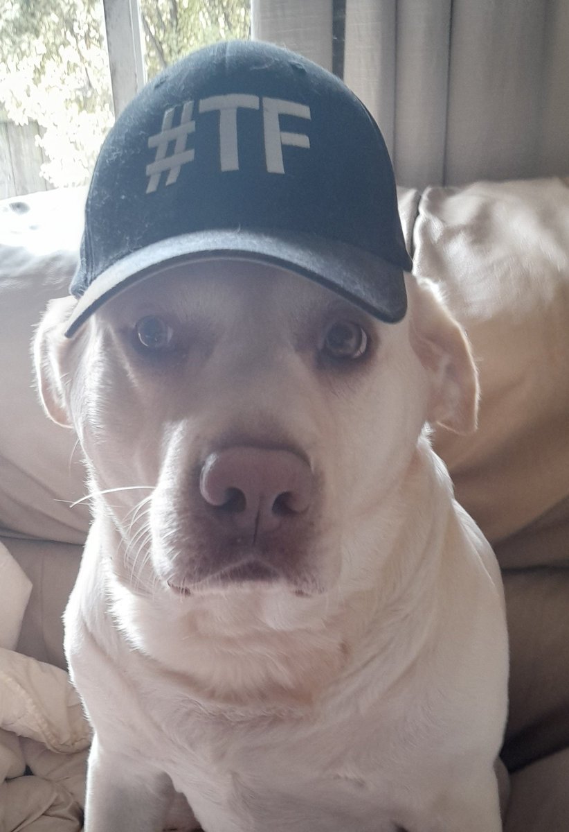 matttassie's tweet photo. Taken the cap out of mothballs #moveforlex https://t.co/UQx8u4HRhB