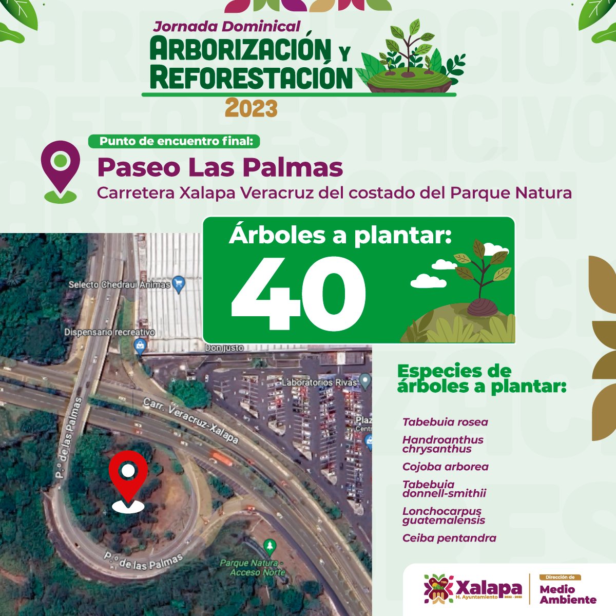 AytoXalapa's tweet photo. ¡Participa en la jornada dominical de #Reforestación!
El H. Ayuntamiento de Xalapa y ciudadanía organizada llevarán a cabo una reforestación en toda la avenida de Lázaro Cárdenas.

🗓️ 23 de julio
🕗 8:00 horas

¡Únete a esta causa por un Xalapa más verde y sustentable! 🌳 https://t.co/YyazfXY4yY