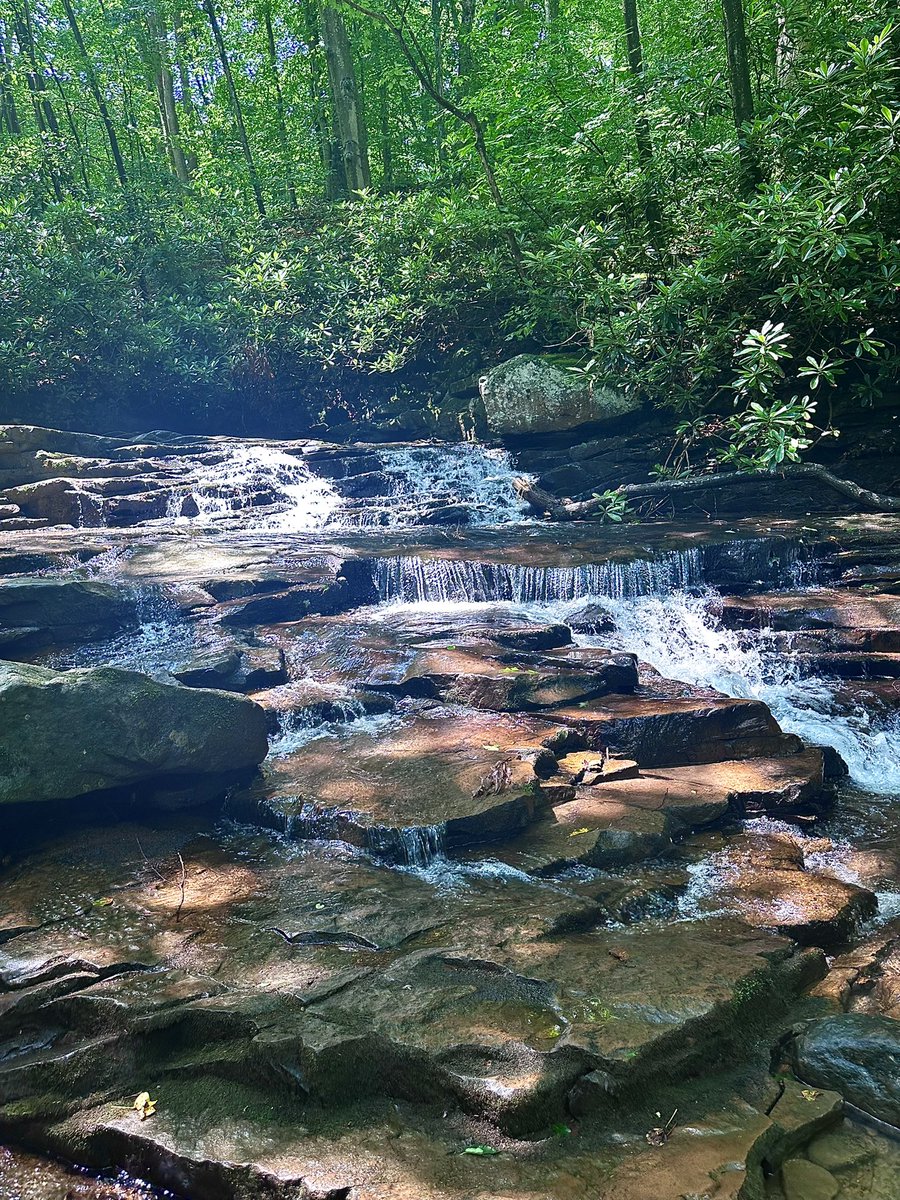 juliechristie74's tweet photo. One of the greatest joys of traveling, is making new friends! So glad I got to go adventure with one of them today! #traveler #newfriends #hikingadventures #nature #warerfalls https://t.co/dlsXtmfu7N