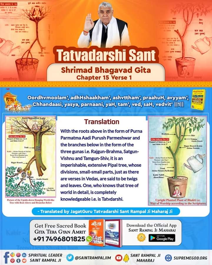 #GodMorningSaturday Only a Tatvdarshi Sant can tell the true knowledge of upside down tree mentioned in holy Gita Adhyay 15 Shlok 4. That complete saint is JagatGuru Tatvadarshi Sant Rampal Ji Maharaj. @MKVaghela99