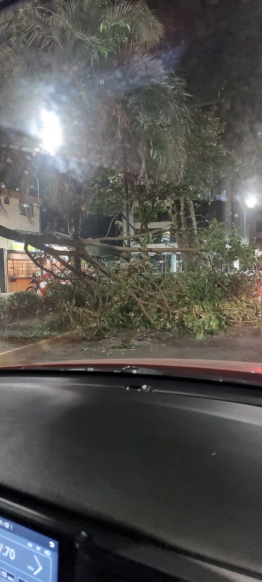 Buenas noches, nos informan árbol caído en la República de El Salvador y Suiza, por favor su ayuda @ObrasQuito @pabelml @diegobravoCA @Ralvarezw