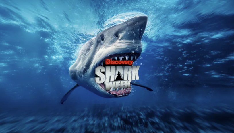 Are you ready for #SharkWeek 
Make sure you have the best uninterrupted service and plan to watch! Check out the options ATT.com and chat with a professional to get the best recommendations! <a href="/VirtualSalesExp/">Virtual Sales Experience</a> 
<a href="/ATT/">AT&T</a>