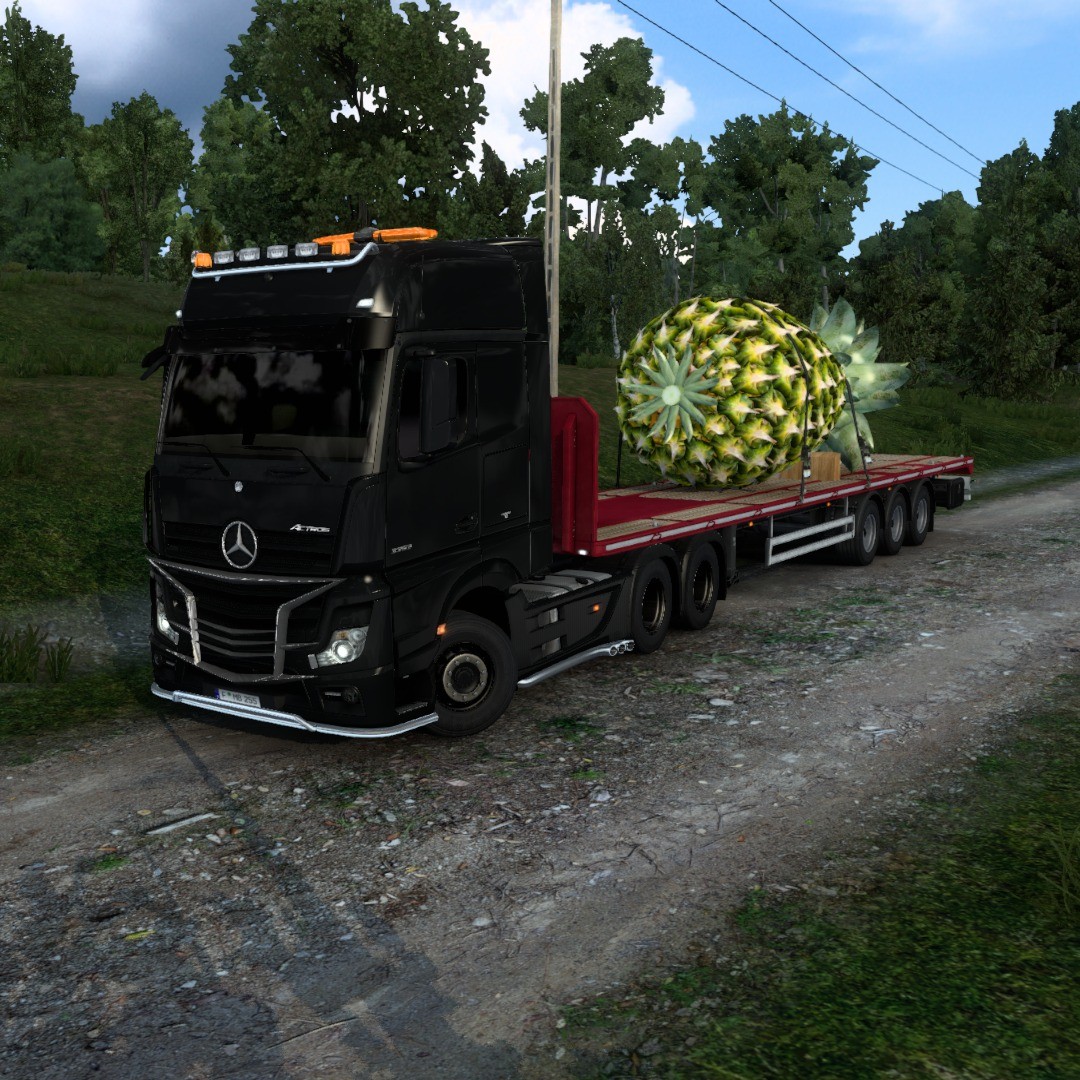 Sometimes you get stuck with some odd cargo in ETS2. Wonder what the other drivers thought passing me in TruckersMP

#jmiller8083 #truckersmp #ets2 #eurotrucksimulator2 #mercedesbenztrucks #pineapple