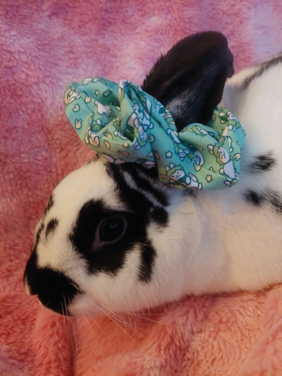 🐰_PRODUCTION UPDATE_🐰

The scrunchies have finished being produced and will soon be sent to the shipping mod! Following the photos of the scrunchies are photos of other items that have been received! We are still waiting for a couple items before moving forward.