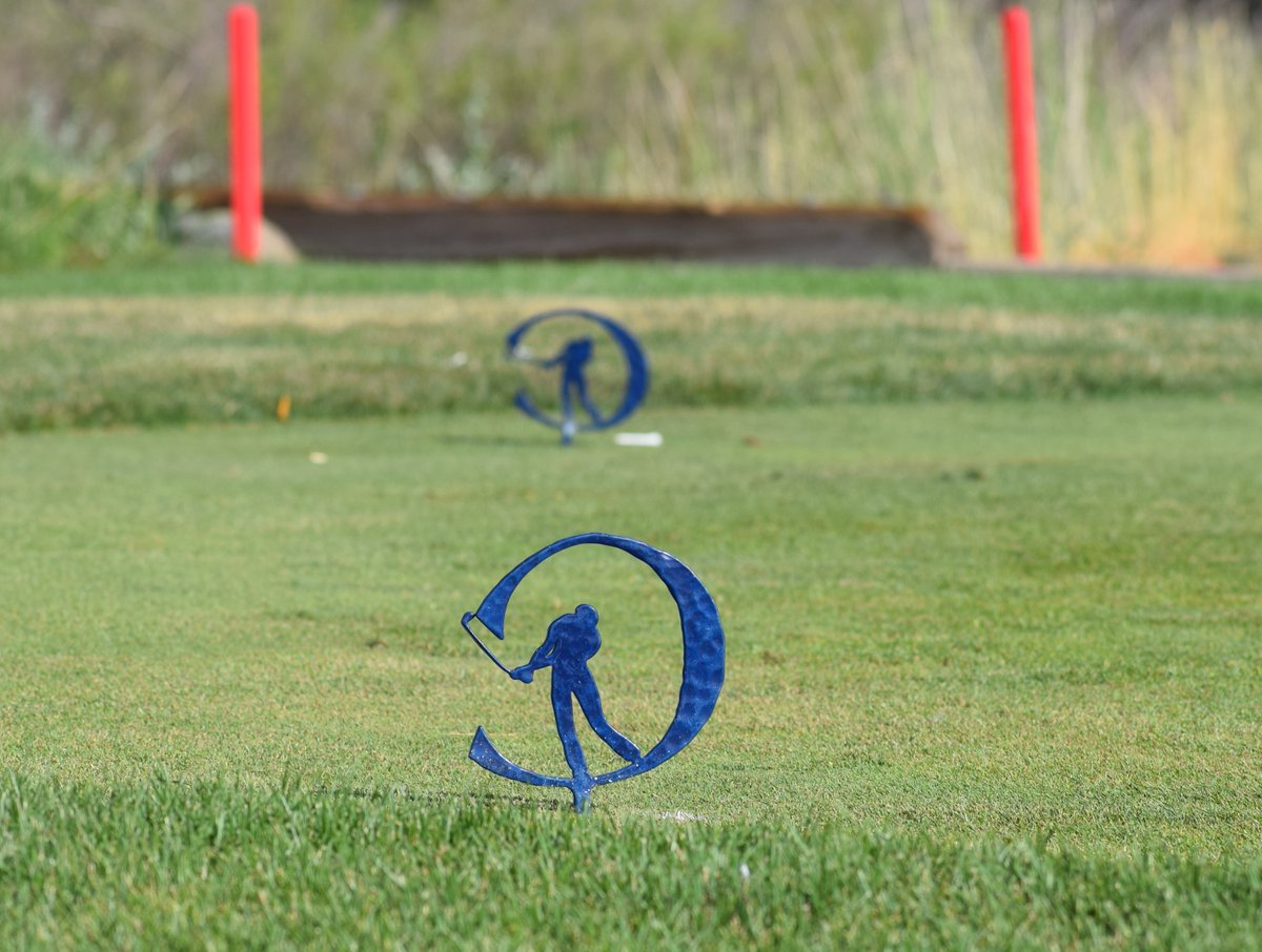 ColoGolf's tweet photo. 8 players in double digits under par at halfway point of Inspirato Colorado Open. https://t.co/V1lvJqC5qc
@ColoradoOpen
#ColoradoOpen https://t.co/nXJyzc7Zv2