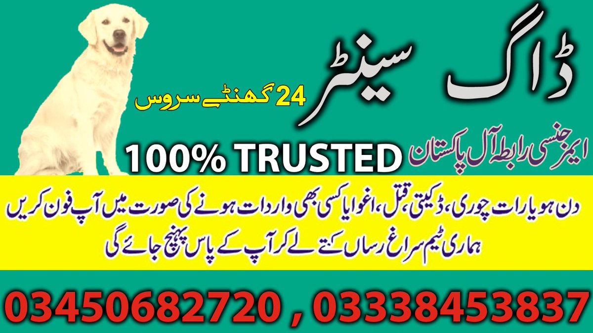 ArmyDogCentre2's tweet image. Army dog centre contact number,
Searching sniffer dogs phone numbers,
Contact,03450682720 | 03338453837
In the midst of despair, our search dogs bring a glimmer of hope, bringing solace to be those in need.

#searchdogs #searchingdogs #khojikutte #khojidogs #detectivedogs