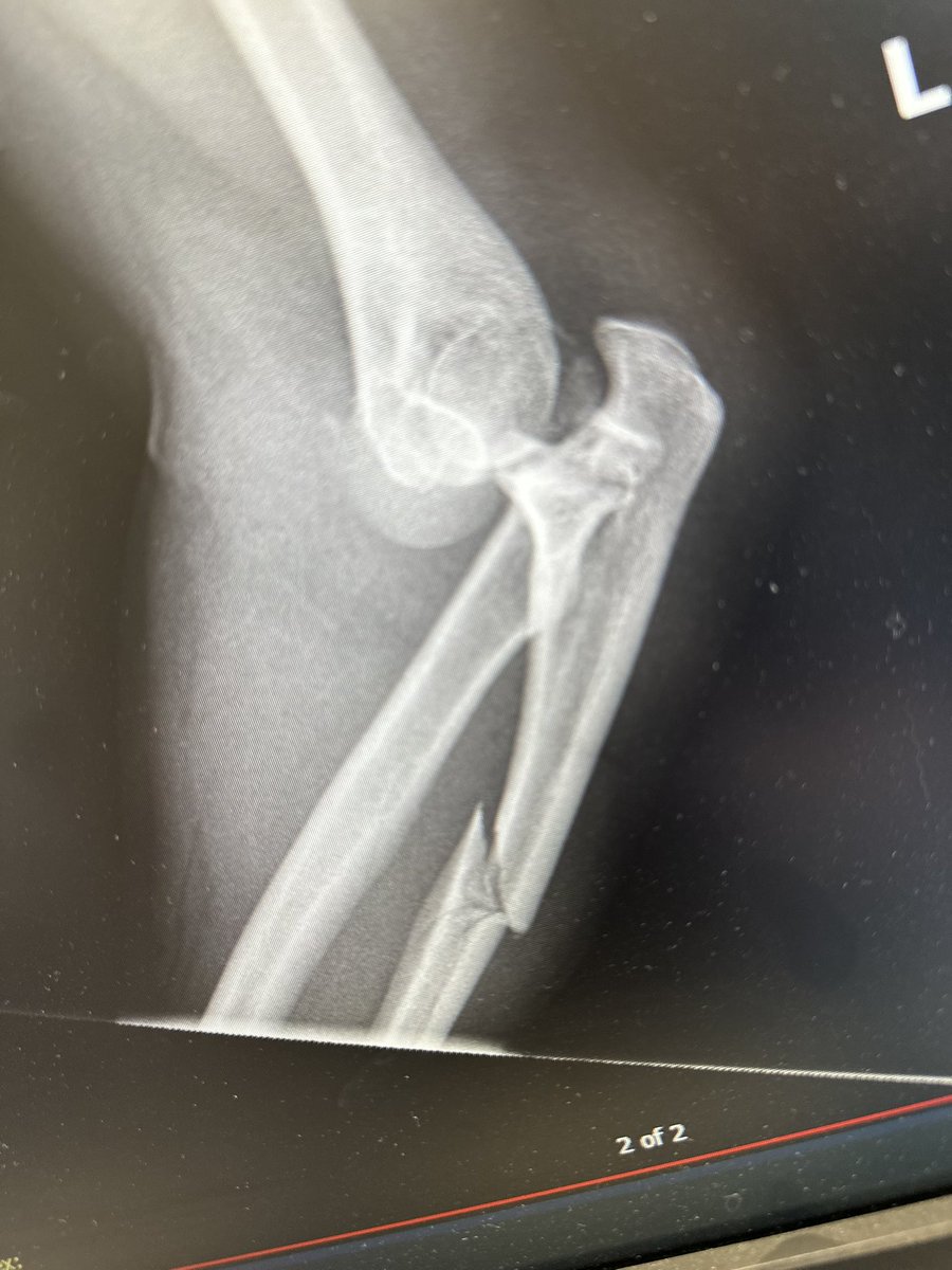 Ryan Rose, MD tweet media